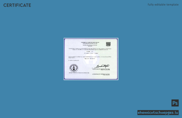 Beispiel einer Namensänderungsurkunde des Handelsregisters der Britischen Jungferninseln (Vorschau)